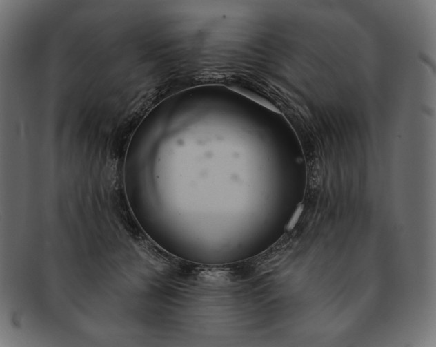 X0000091860560200709191118