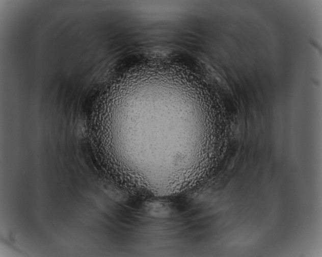 X0000091860561200709191118