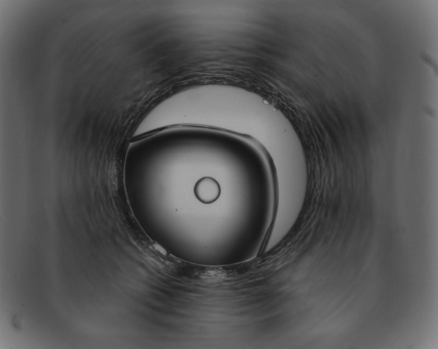 X0000091860562200709191118