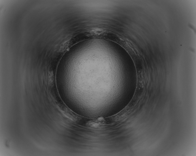 X0000091860563200709191118