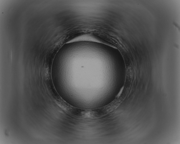 X0000091860564200709191118