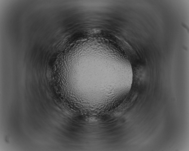 X0000091860565200709191118