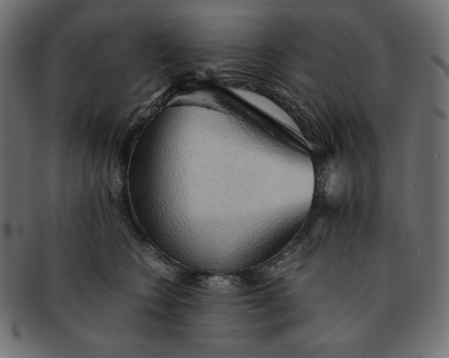 X0000091860566200709191118