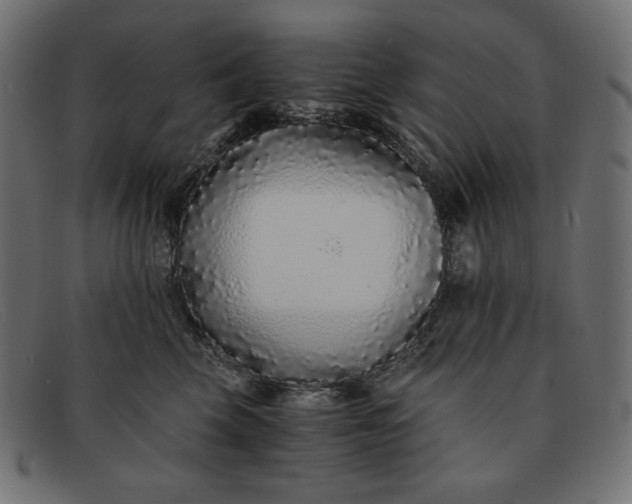 X0000091860569200709191118