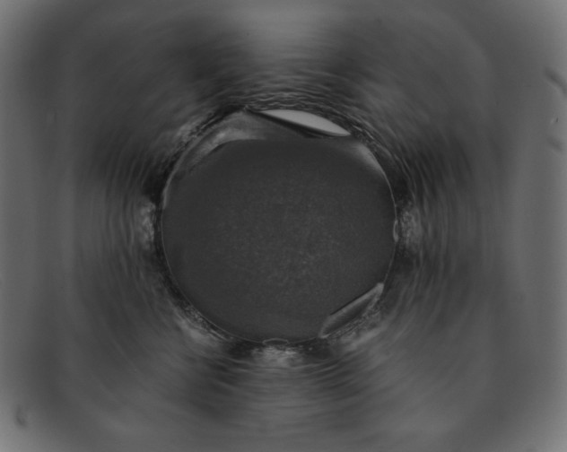 X0000091860570200709191118