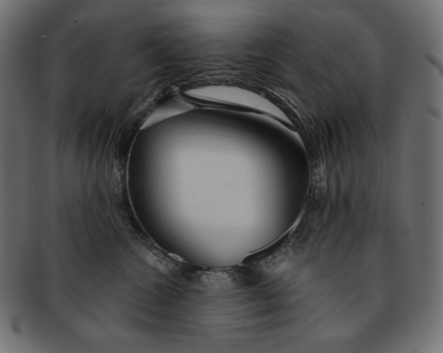 X0000091860572200709191118