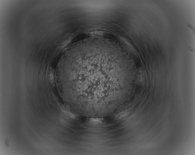 X0000091860573200709191118