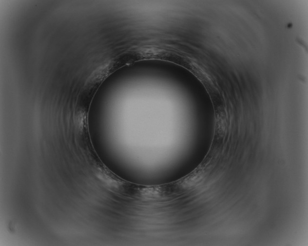 X0000091860574200709191118