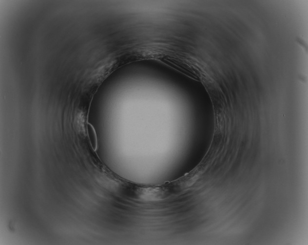 X0000091860575200709191118