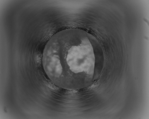 X0000091860576200709191118