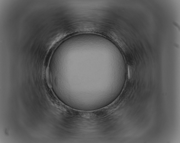 X0000091860579200709191118