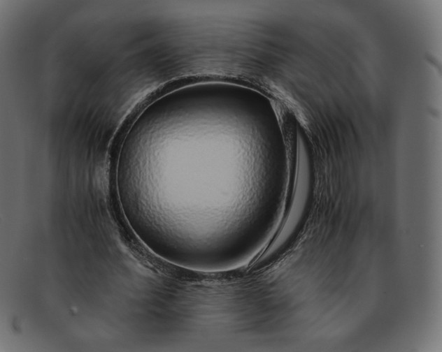 X0000091860580200709191118