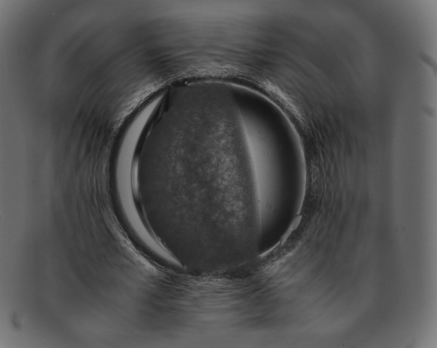 X0000091860581200709191118