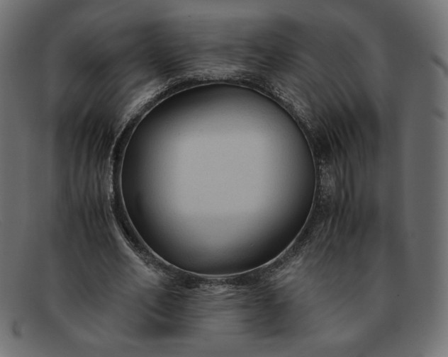 X0000091860582200709191118