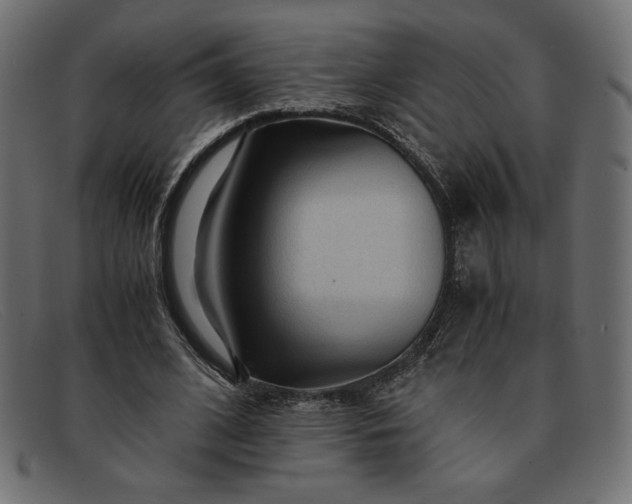 X0000091860584200709191118