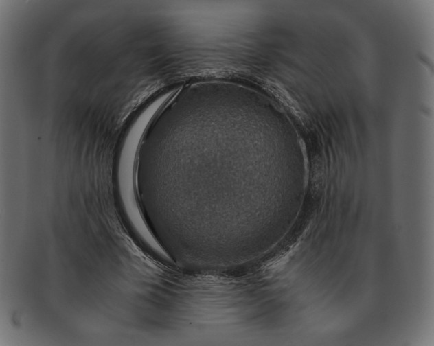 X0000091860585200709191118