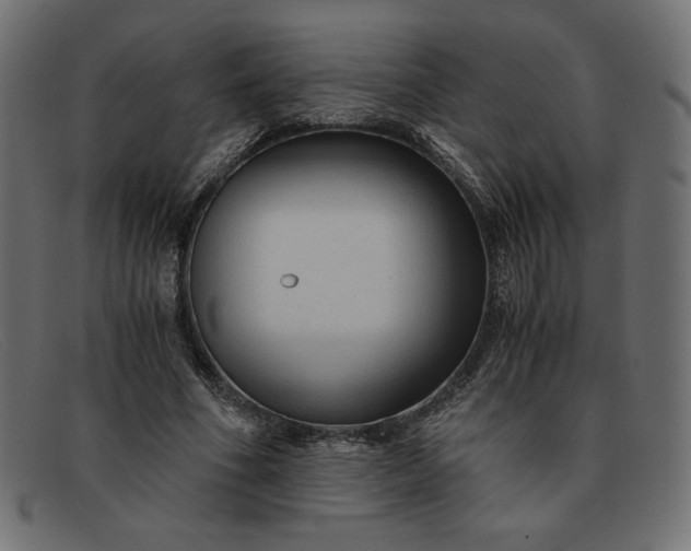 X0000091860586200709191118