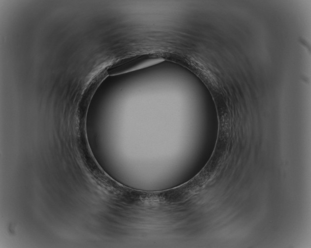 X0000091860587200709191118