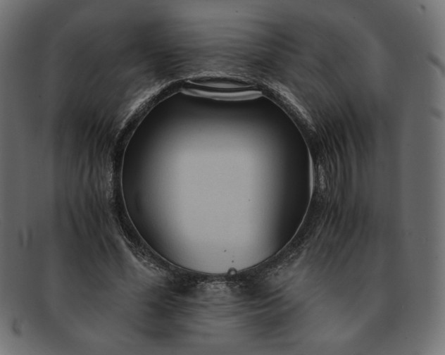 X0000091860588200709191118