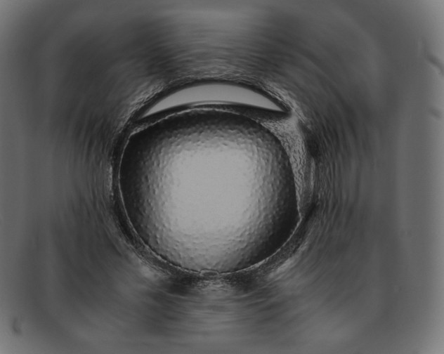 X0000091860589200709191118