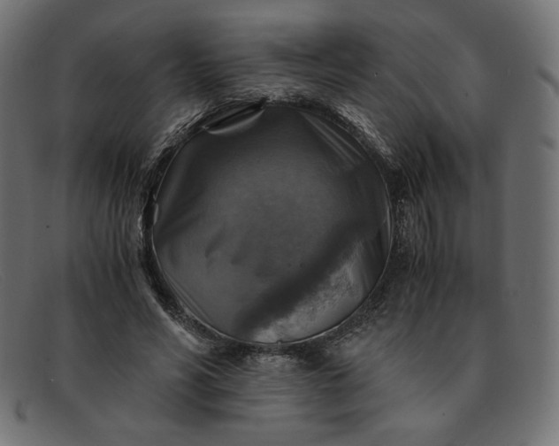 X0000091860590200709191118