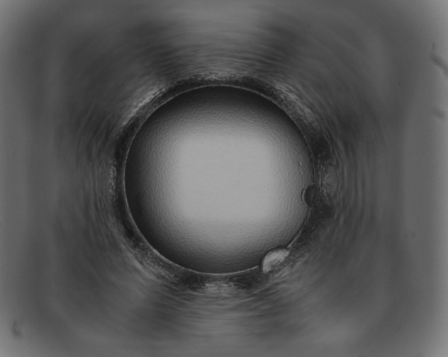 X0000091860591200709191118