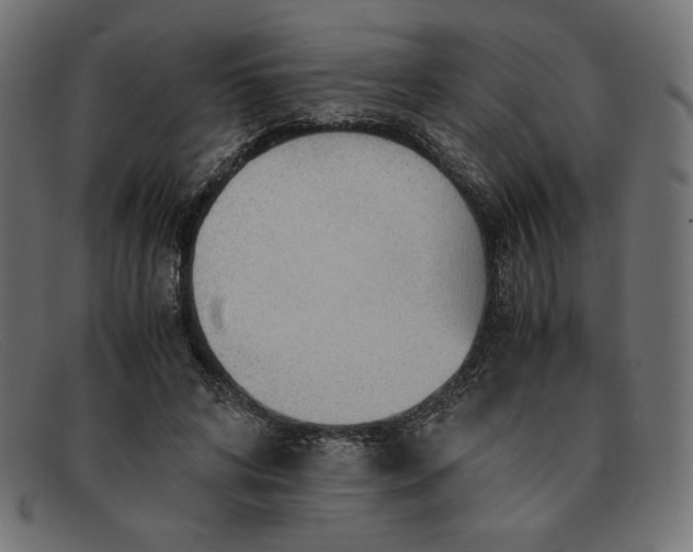 X0000091860592200709191118