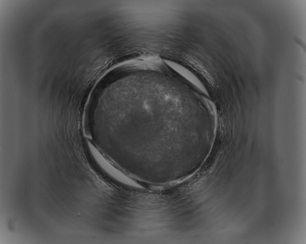 X0000091860593200709191118