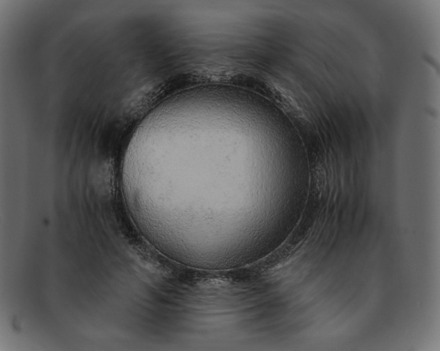 X0000091860594200709191118