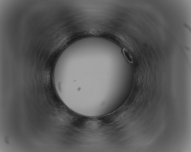 X0000091860595200709191118