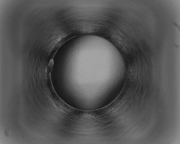 X0000091860596200709191118