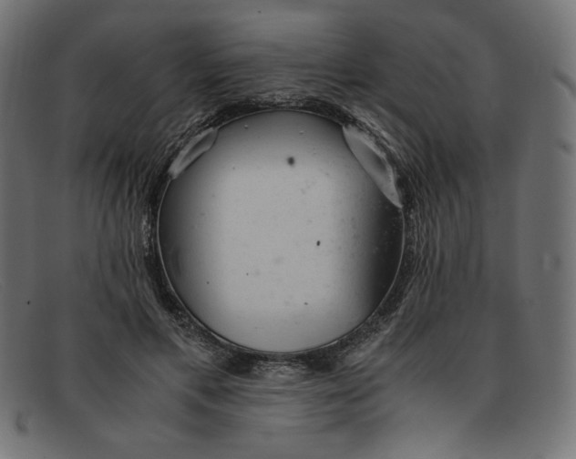 X0000091860597200709191118