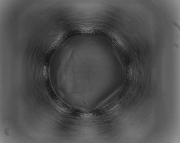 X0000091860598200709191118