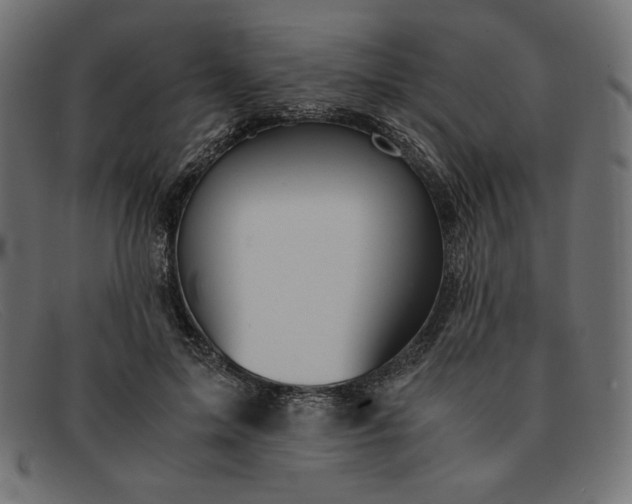 X0000091860599200709191118