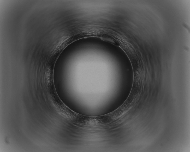 X0000091860600200709191118