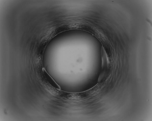 X0000091860601200709191117