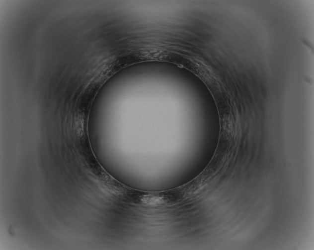 X0000091860602200709191117