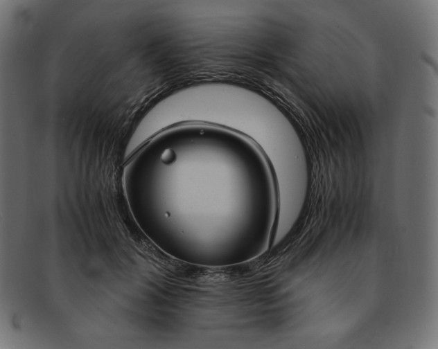 X0000091860604200709191117