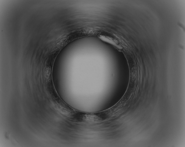 X0000091860605200709191117