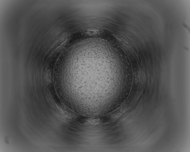 X0000091860606200709191117