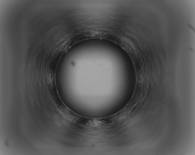 X0000091860607200709191117