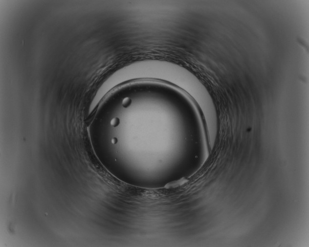 X0000091860608200709191117