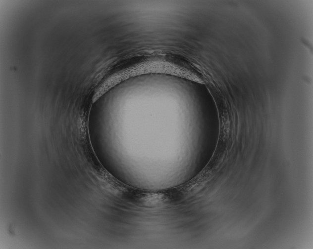 X0000091860609200709191117