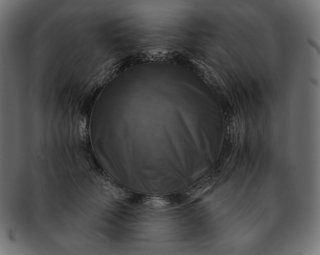 X0000091860610200709191117