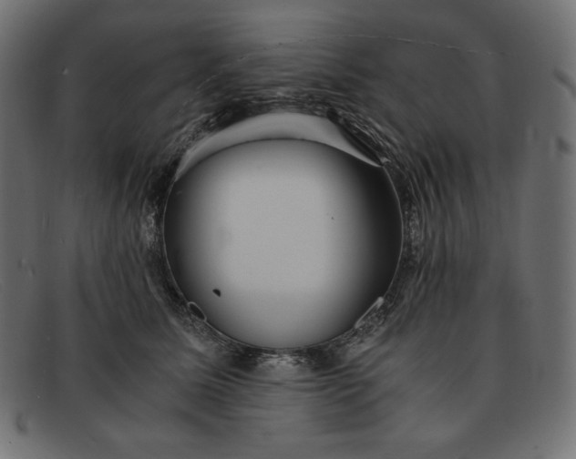 X0000091860611200709191117