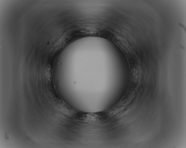 X0000091860612200709191117