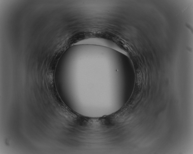 X0000091860613200709191117