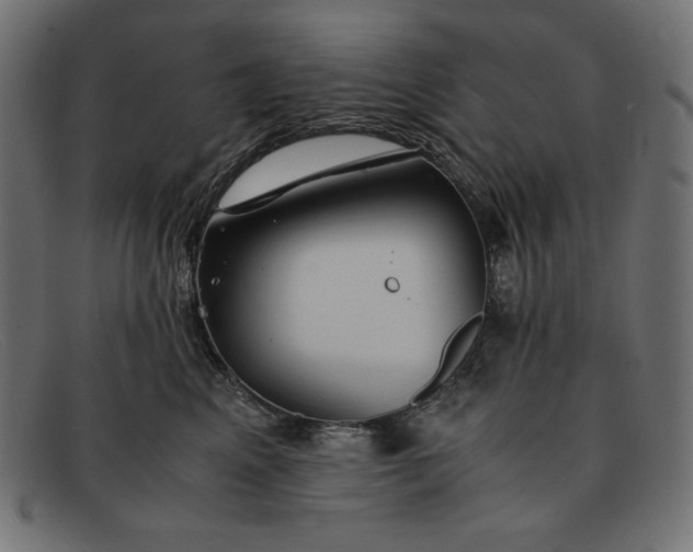 X0000091860617200709191117