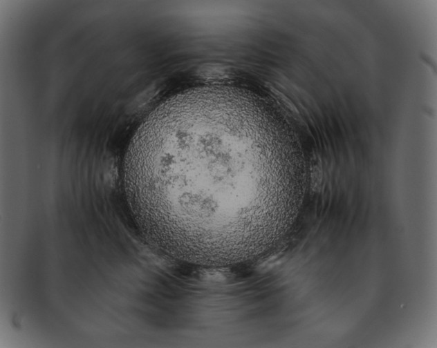 X0000091860618200709191117