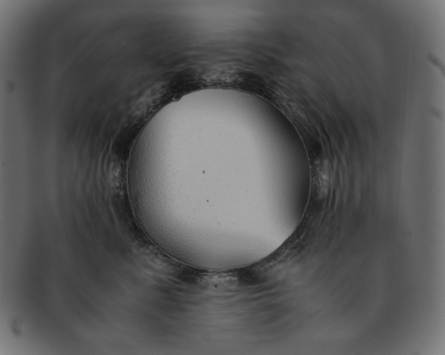 X0000091860619200709191117